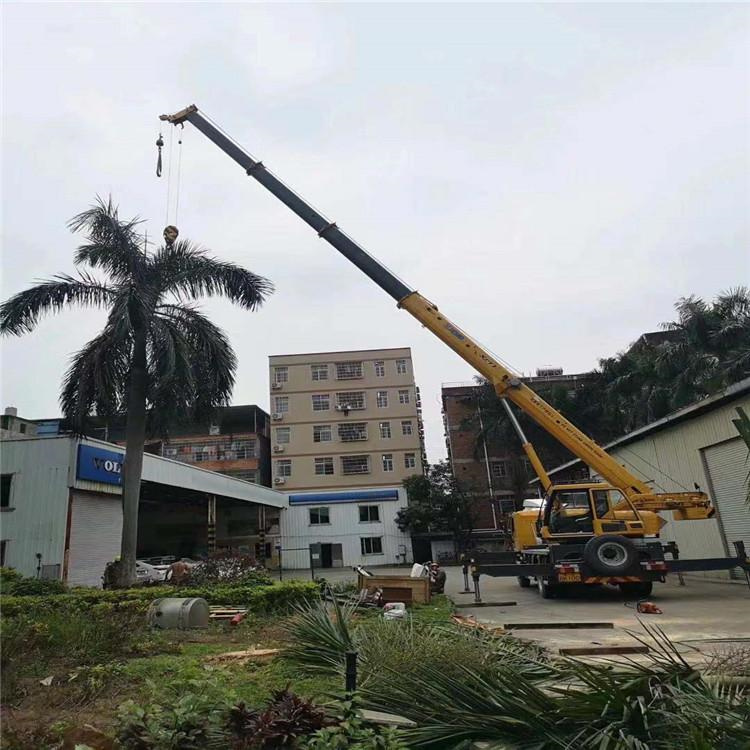 焦作汽车吊出租多少钱？全面解析与市场行情